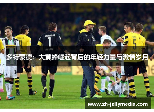 多特蒙德：大黄蜂崛起背后的年轻力量与激情岁月