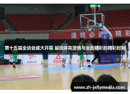 第十五届全运会盛大开幕 展现体育激情与全新精彩的精彩时刻