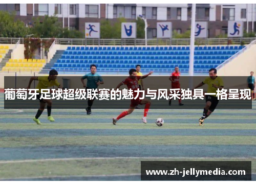 葡萄牙足球超级联赛的魅力与风采独具一格呈现